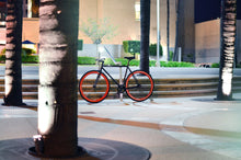 Load image into Gallery viewer, Echo - avanbo-bot.myshopify.com - update 3333 - Avanbo BOT và