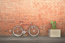 Load image into Gallery viewer, Roosevelt - avanbo-bot.myshopify.com - update 3333 - Avanbo BOT và